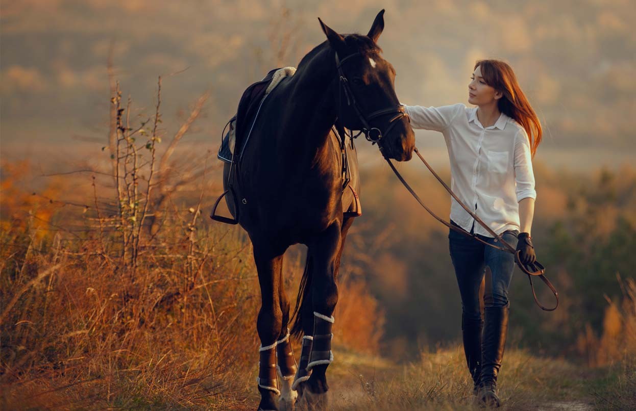 Prendre Soin de Son cheval